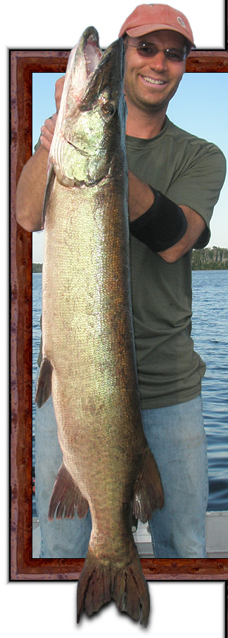 Ontario Muskie Fishing